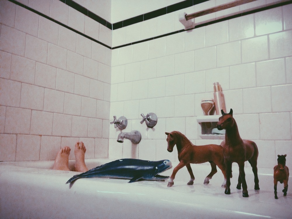 For the record, this is Birdy enjoying my bath. I generally don't bring horses and plastic whales.